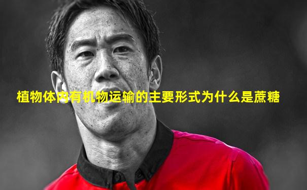 植物体内有机物运输的主要形式为什么是蔗糖