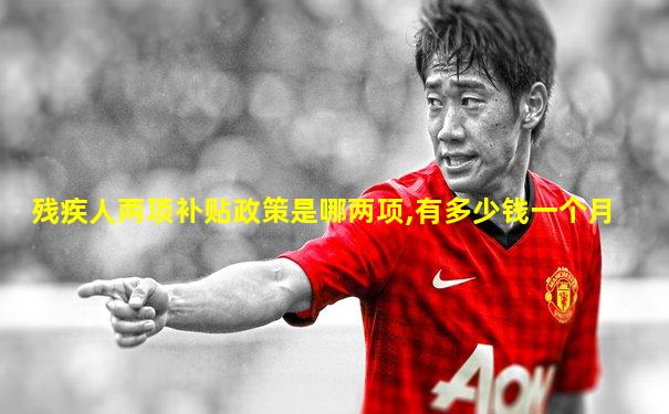 残疾人两项补贴政策是哪两项,有多少钱一个月