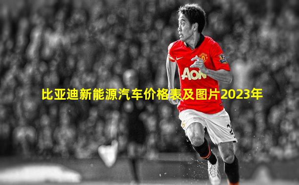 比亚迪新能源汽车价格表及图片2023年