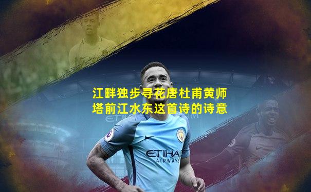 江畔独步寻花唐杜甫黄师塔前江水东这首诗的诗意