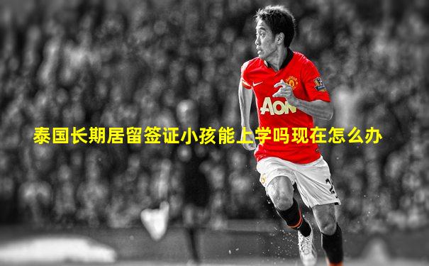 泰国长期居留签证小孩能上学吗现在怎么办