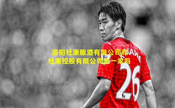 洛阳杜康酿酒有限公司和杜康控股有限公司是一家吗