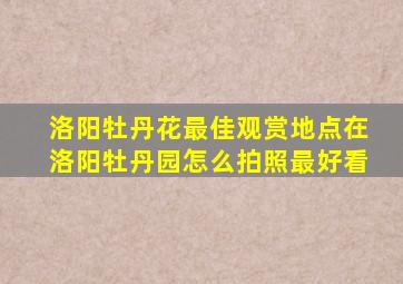 洛阳牡丹花最佳观赏地点在洛阳牡丹园怎么拍照最好看