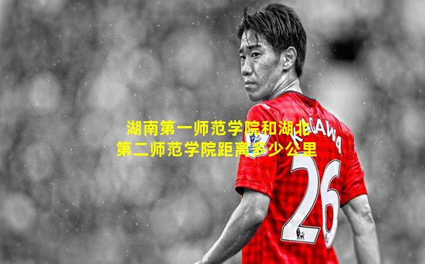 湖南第一师范学院和湖北第二师范学院距离多少公里