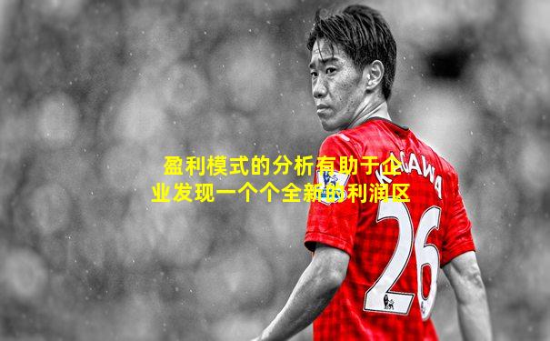 盈利模式的分析有助于企业发现一个个全新的利润区