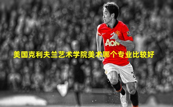 美国克利夫兰艺术学院美术哪个专业比较好