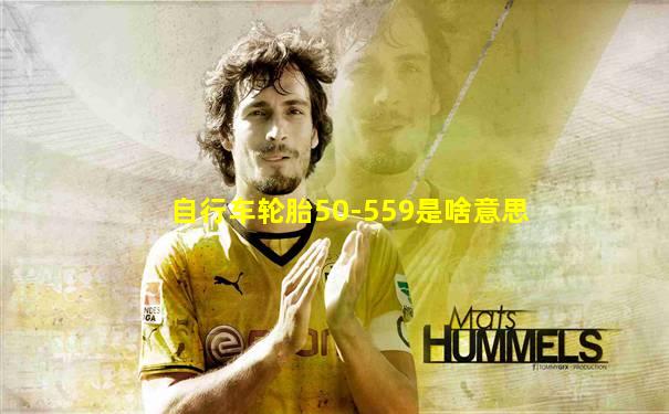 自行车轮胎50-559是啥意思