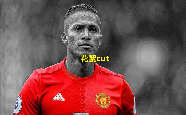 花絮cut