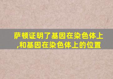 萨顿证明了基因在染色体上,和基因在染色体上的位置