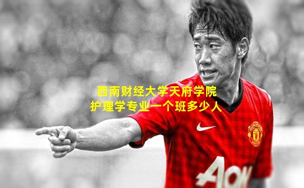 西南财经大学天府学院护理学专业一个班多少人