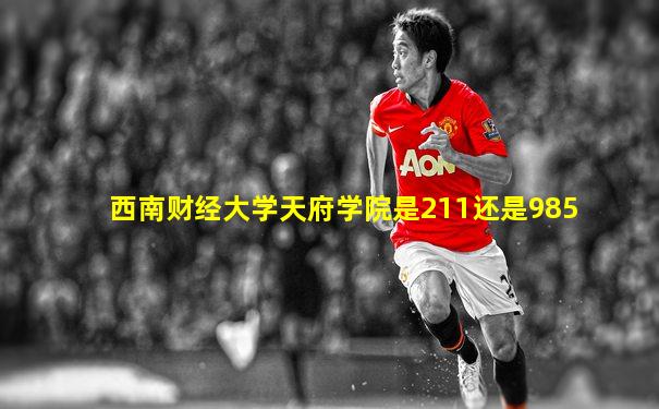 西南财经大学天府学院是211还是985