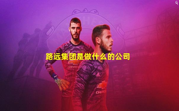 路远集团是做什么的公司