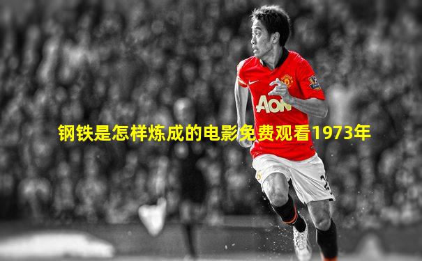 钢铁是怎样炼成的电影免费观看1973年