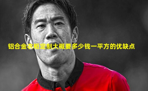 铝合金衣柜定制大概要多少钱一平方的优缺点