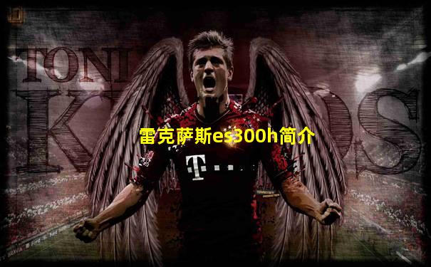 雷克萨斯es300h简介