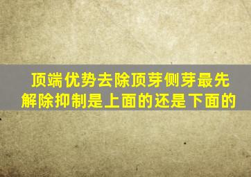 顶端优势去除顶芽侧芽最先解除抑制是上面的还是下面的