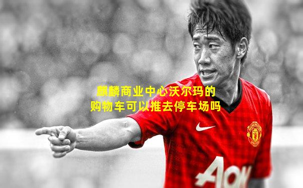 麒麟商业中心沃尔玛的购物车可以推去停车场吗